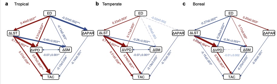 苏泳娴等在Nature Ecology & Evolution发文揭示景观格局通过生物物理效应调控森林恢复力的重要机制